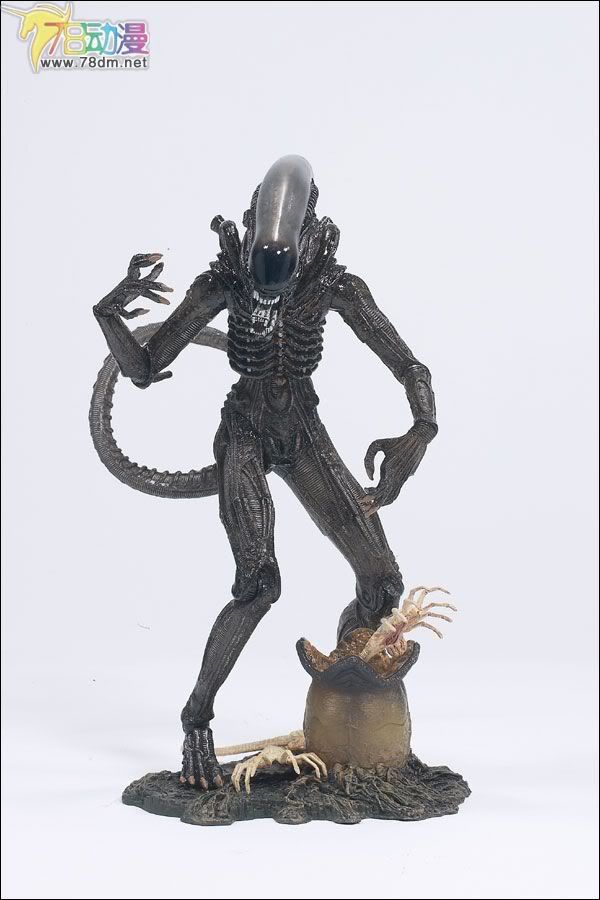 麦克法兰系列玩具 电影系列 异形和铁血战士 ALIEN 异形