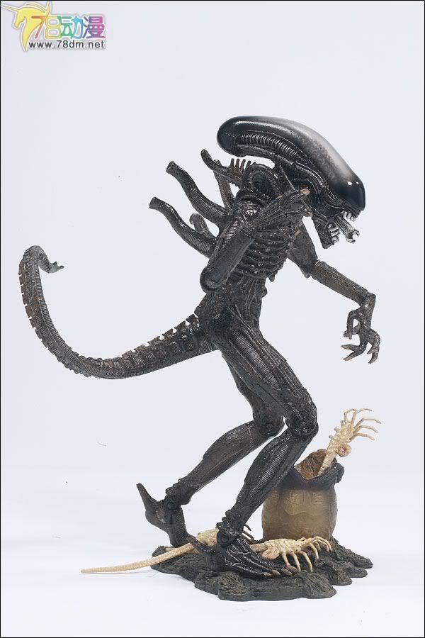 麦克法兰系列玩具 电影系列 异形和铁血战士 ALIEN 异形