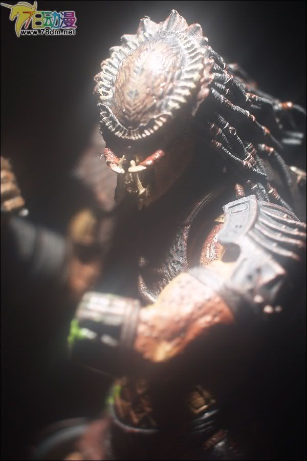 麦克法兰系列玩具 电影系列 异形和铁血战士 PREDATOR THE HUNTER  铁血战士猎人