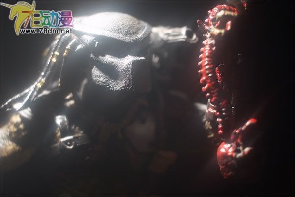 麦克法兰系列玩具 电影系列 异形和铁血战士 PREDATOR 铁血战士