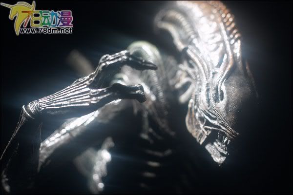 麦克法兰系列玩具 电影系列 异形和铁血战士 WARRIOR ALIEN 战斗异形