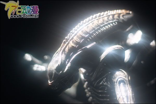 麦克法兰系列玩具 电影系列 异形和铁血战士 WARRIOR ALIEN 战斗异形