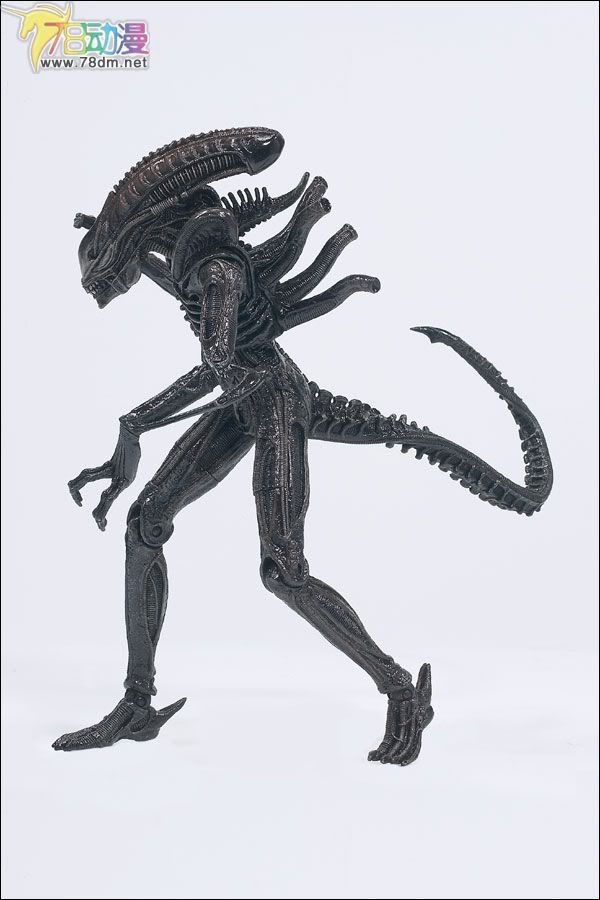 麦克法兰系列玩具 电影系列 异形和铁血战士 WARRIOR ALIEN 战斗异形