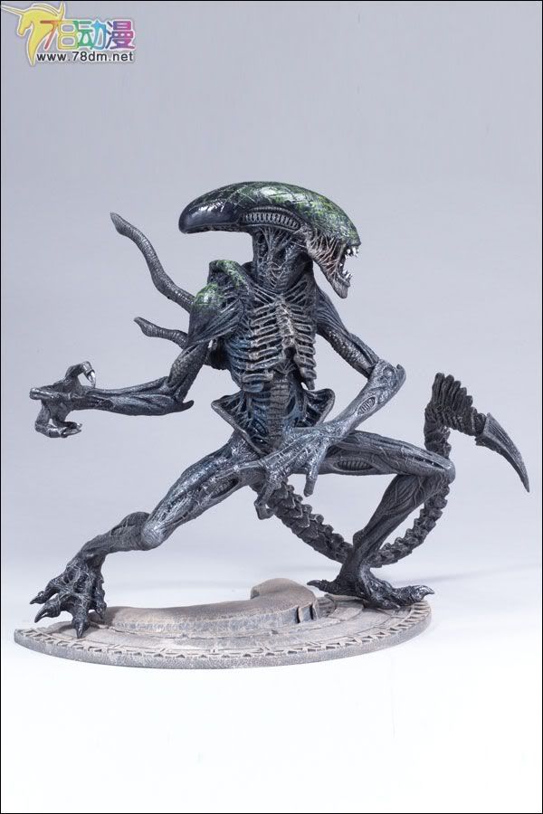 麦克法兰系列玩具 电影系列 异形大战铁血战士 12寸系列 12-INCH GRID ALIEN  12寸异形