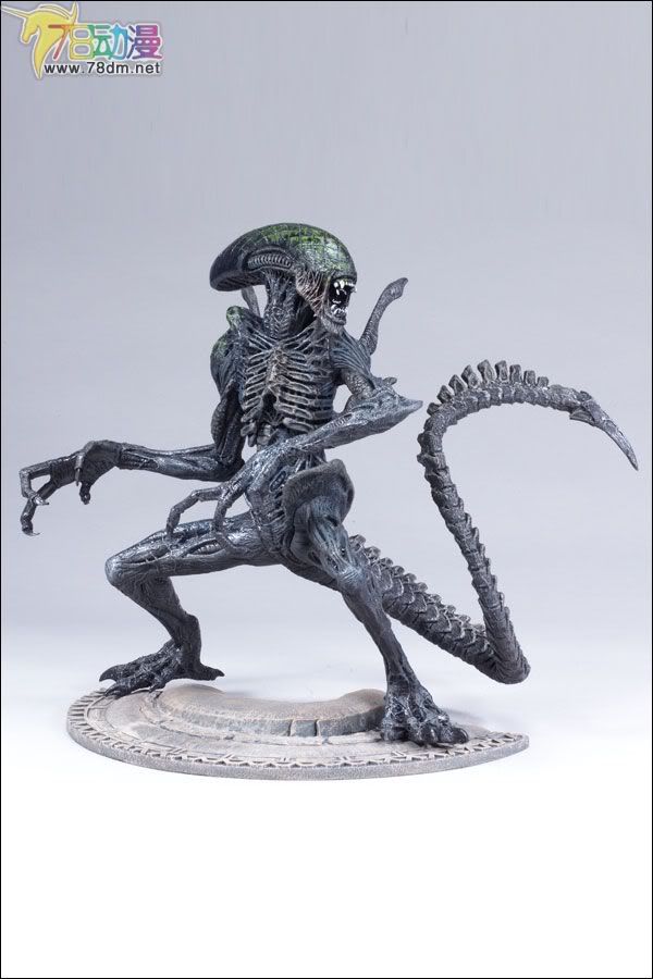 麦克法兰系列玩具 电影系列 异形大战铁血战士 12寸系列 12-INCH GRID ALIEN  12寸异形