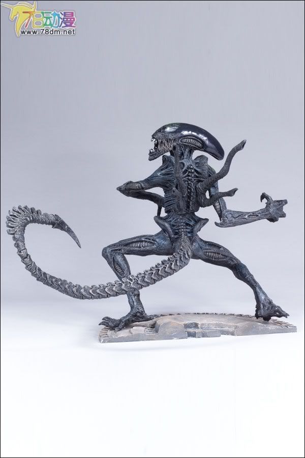 麦克法兰系列玩具 电影系列 异形大战铁血战士 12寸系列 12-INCH GRID ALIEN  12寸异形