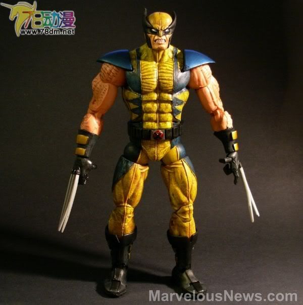 Marvel Legends Icons Series 1  12寸惊奇漫画传奇系列 第1代 Wolverine 金刚狼