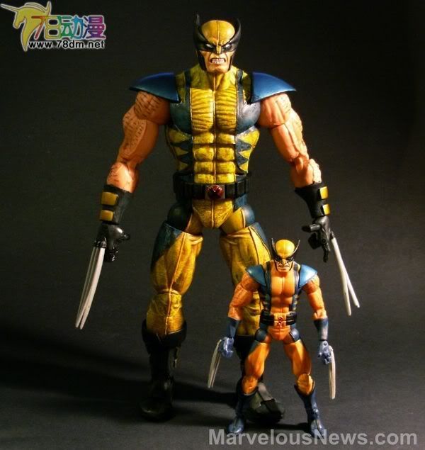 Marvel Legends Icons Series 1  12寸惊奇漫画传奇系列 第1代 Wolverine 金刚狼