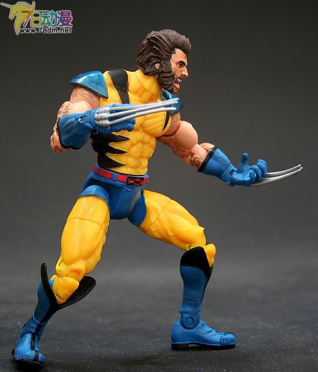 Marvel Legends X-Men Legends  X战警传奇 礼盒版 Wolverine 金刚狼