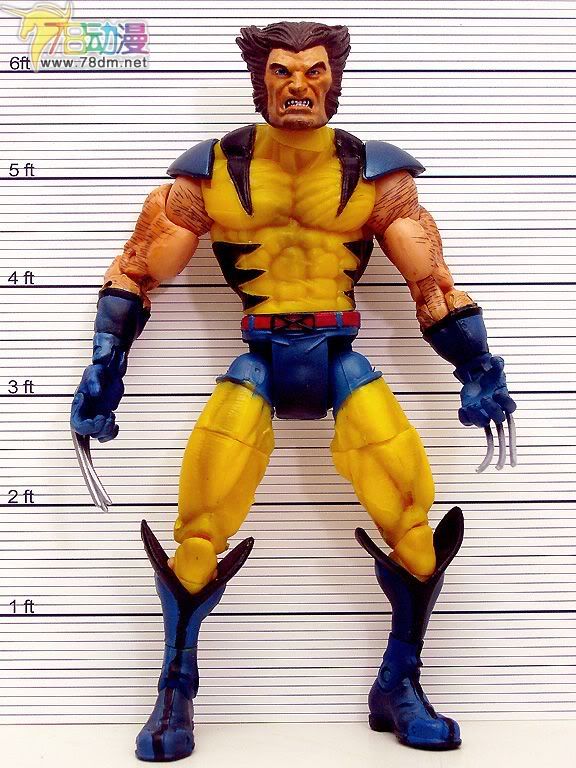 Marvel Legends Series 3 惊奇漫画传奇系列可动玩具 第3代 Wolverine 金刚狼 特别版