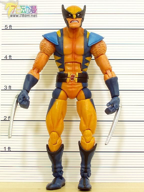 Marvel Legends Series 12 Apocalypse Series 惊奇漫画传奇系列可动玩具 第12代 Astonishing Wolverine 惊奇金刚狼