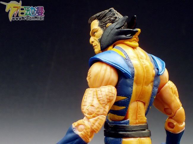 Marvel Legends Series 12 Apocalypse Series 惊奇漫画传奇系列可动玩具 第12代 Astonishing Wolverine 惊奇金刚狼 特别版
