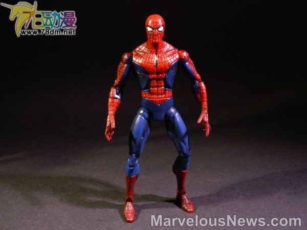 Amazing蜘蛛侠 第16代 Spider-Strength Spider-Man 蜘蛛强壮蜘蛛侠