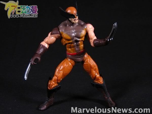 金刚狼前传 第1代（漫画版）Wolverine 金刚狼