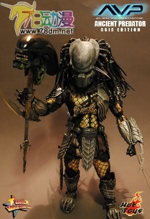 HOT TOYS 美系玩具专区 AVP 异形大战铁血战士 14寸古代铁血战士 亚洲版