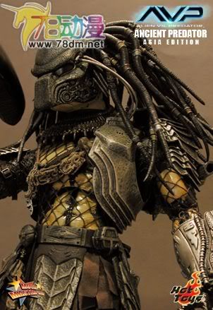 HOT TOYS 美系玩具专区 AVP 异形大战铁血战士 14寸古代铁血战士 亚洲版