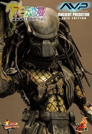 HOT TOYS 美系玩具专区 AVP 异形大战铁血战士 14寸古代铁血战士 亚洲版