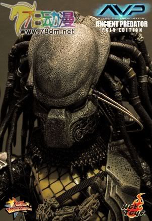 HOT TOYS 美系玩具专区 AVP 异形大战铁血战士 14寸古代铁血战士 亚洲版