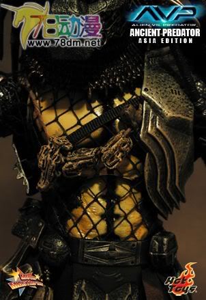 HOT TOYS 美系玩具专区 AVP 异形大战铁血战士 14寸古代铁血战士 亚洲版