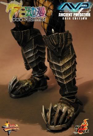 HOT TOYS 美系玩具专区 AVP 异形大战铁血战士 14寸古代铁血战士 亚洲版