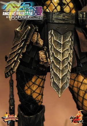 HOT TOYS 美系玩具专区 AVP 异形大战铁血战士 14寸古代铁血战士 亚洲版