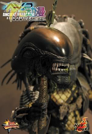 HOT TOYS 美系玩具专区 AVP 异形大战铁血战士 14寸古代铁血战士 亚洲版