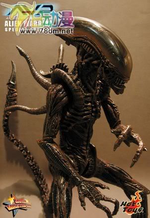 HOT TOYS 美系玩具专区 AVP 异形大战铁血战士 16寸棕色异形限定版