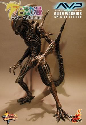 HOT TOYS 美系玩具专区 AVP 异形大战铁血战士 16寸棕色异形限定版