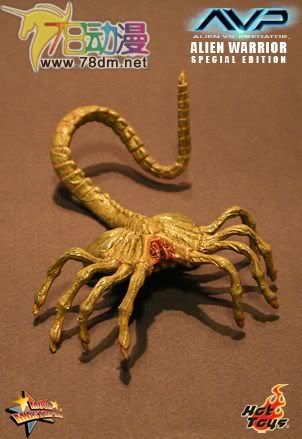 HOT TOYS 美系玩具专区 AVP 异形大战铁血战士 16寸棕色异形限定版