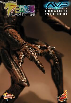 HOT TOYS 美系玩具专区 AVP 异形大战铁血战士 16寸棕色异形限定版