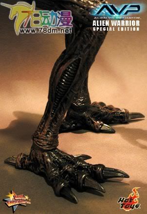 HOT TOYS 美系玩具专区 AVP 异形大战铁血战士 16寸棕色异形限定版