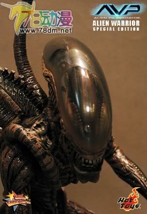 HOT TOYS 美系玩具专区 AVP 异形大战铁血战士 16寸棕色异形限定版