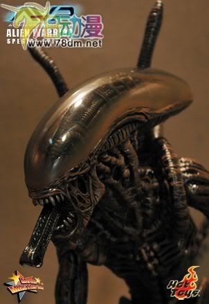 HOT TOYS 美系玩具专区 AVP 异形大战铁血战士 16寸棕色异形限定版
