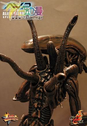 HOT TOYS 美系玩具专区 AVP 异形大战铁血战士 16寸棕色异形限定版
