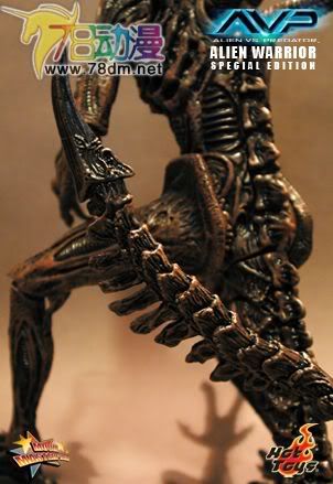 HOT TOYS 美系玩具专区 AVP 异形大战铁血战士 16寸棕色异形限定版