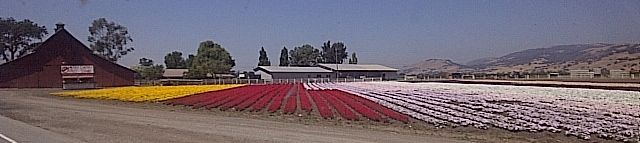 Gilroy-20120816-02790.jpg