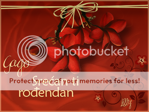 gaga-rodjendan photo gaga-rodjendan.png
