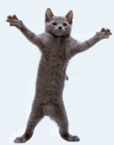 9_funny_dancing_kitty.gif dancing kittehh image by polarsneakers