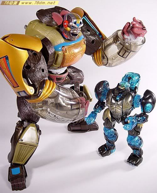 變形金剛猛獸俠系列玩具 optimus primal 黑猩猩