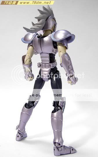 圣衣神话 青铜圣斗士 水蛇座 市