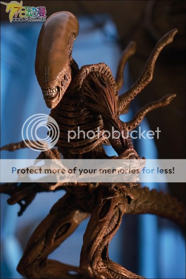 warrior alien(异形战士)